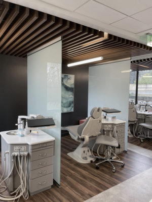 Kadan-Orthodontic-Office-Slide-16-300x400  Green Curve Studio